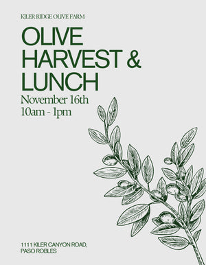 Olive Harvest & Lunch